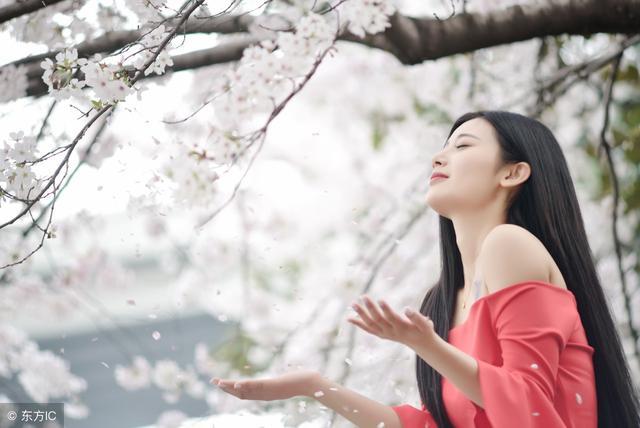 小说：崽崽是帝少缩小版，助理偷偷拽他头发，建议帝少做亲子鉴定