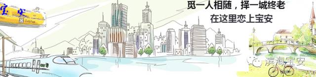 2016宝安国际马拉松,马拉松宝安赛