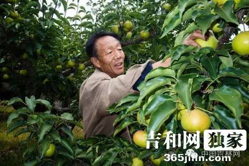 长春热企提前开栓供暖,长春市提前开栓供热通知