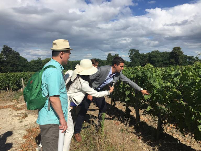 波尔多名庄酒庄,波尔多有名的酒庄