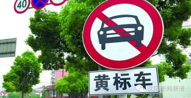 今日沈阳视频,今日看点沈阳