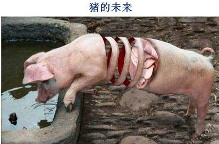 *肥药减**很贵的，你要告诉你妈，少吃点饭不就减下去了!