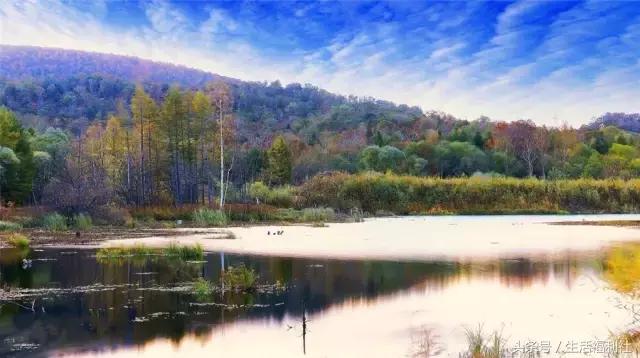 哈尔滨与人民有关的标志,哈尔滨标志性符号