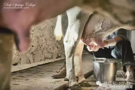 比哈佛还难进的大学——深泉学院(家长们都来学习一下吧)