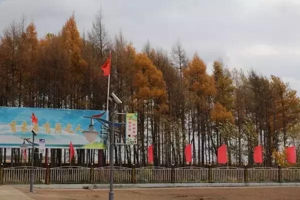 双鸭山市宝清县青原镇——金秋校园别样美