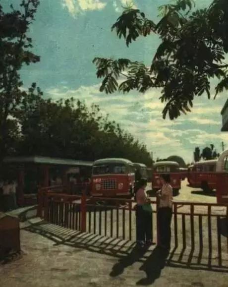 北京老司机开的碉堡公交线，坐过一条你就老了！