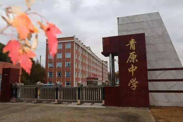 双鸭山市宝清县青原镇——金秋校园别样美