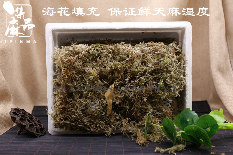 新鲜天麻如何储存,刚挖的天麻怎样储存