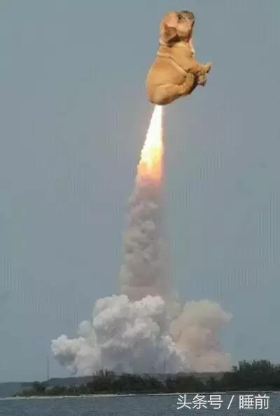 万圣节的趣味介绍,关于万圣节的趣味问题