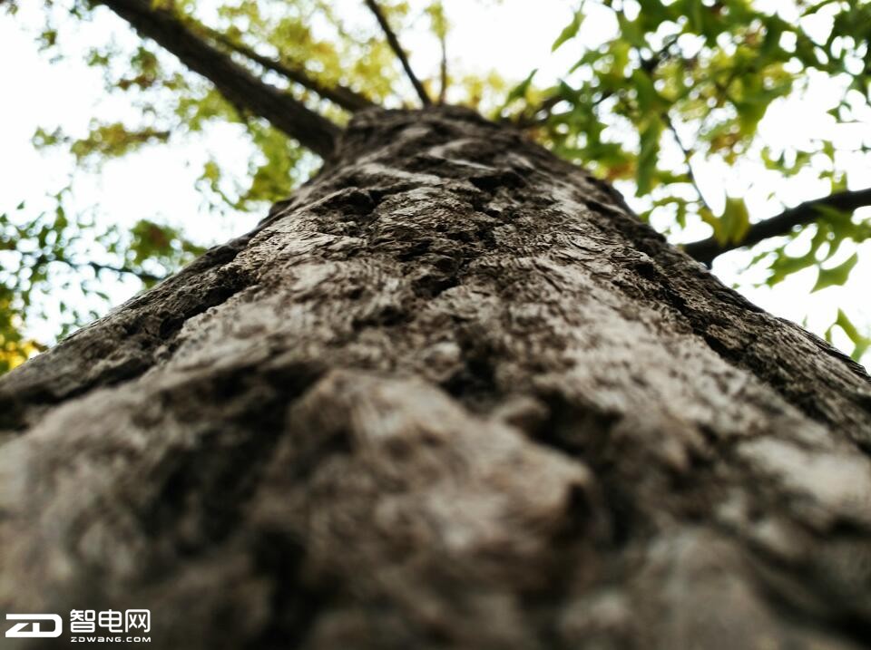 oppor9s柔光摄像头价格,oppor9s清新绿开箱视频