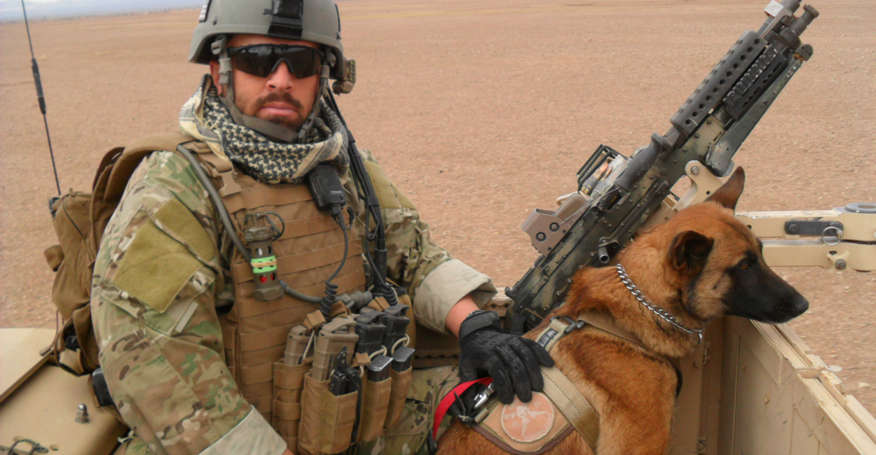 有一种狗叫你扛!狗狗黑背(德牧)的军旅生活!湄公河的哮天犬?