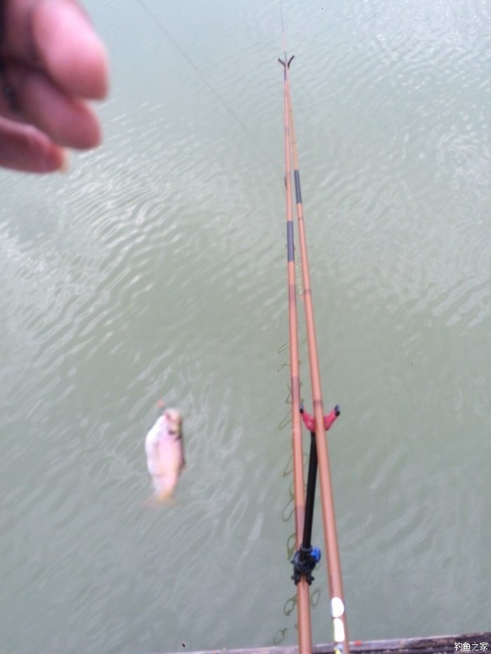 新手入门鱼竿推荐品牌,新手入门推荐鱼竿