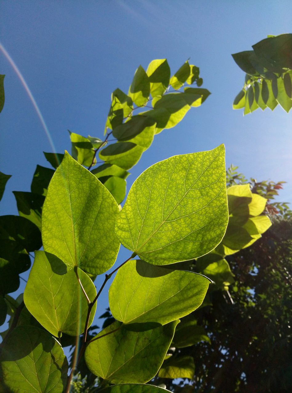 魅蓝e怎么样呢,被忽略的千元神机