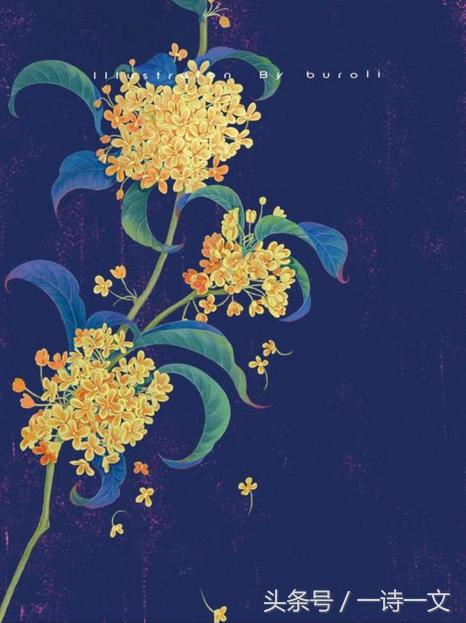 《唯有丹桂飘香八月馥郁芬芳》我,想你了荼蘼花事春已了