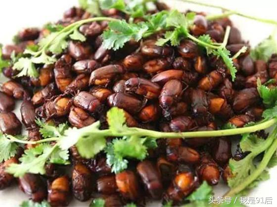 越南恶心的虫子大餐,广东人常吃的虫子