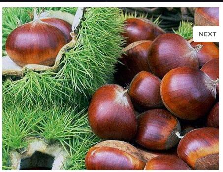 日常女性养生知识大全集,30岁健康养生小知识