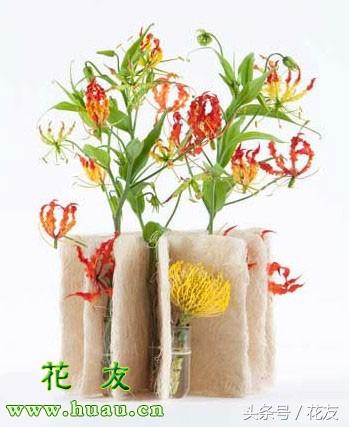 插花花艺制作过程学习,多种风格插花教程