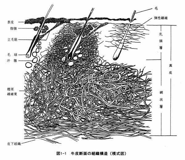 认识和识别质量问题,认识真假物品