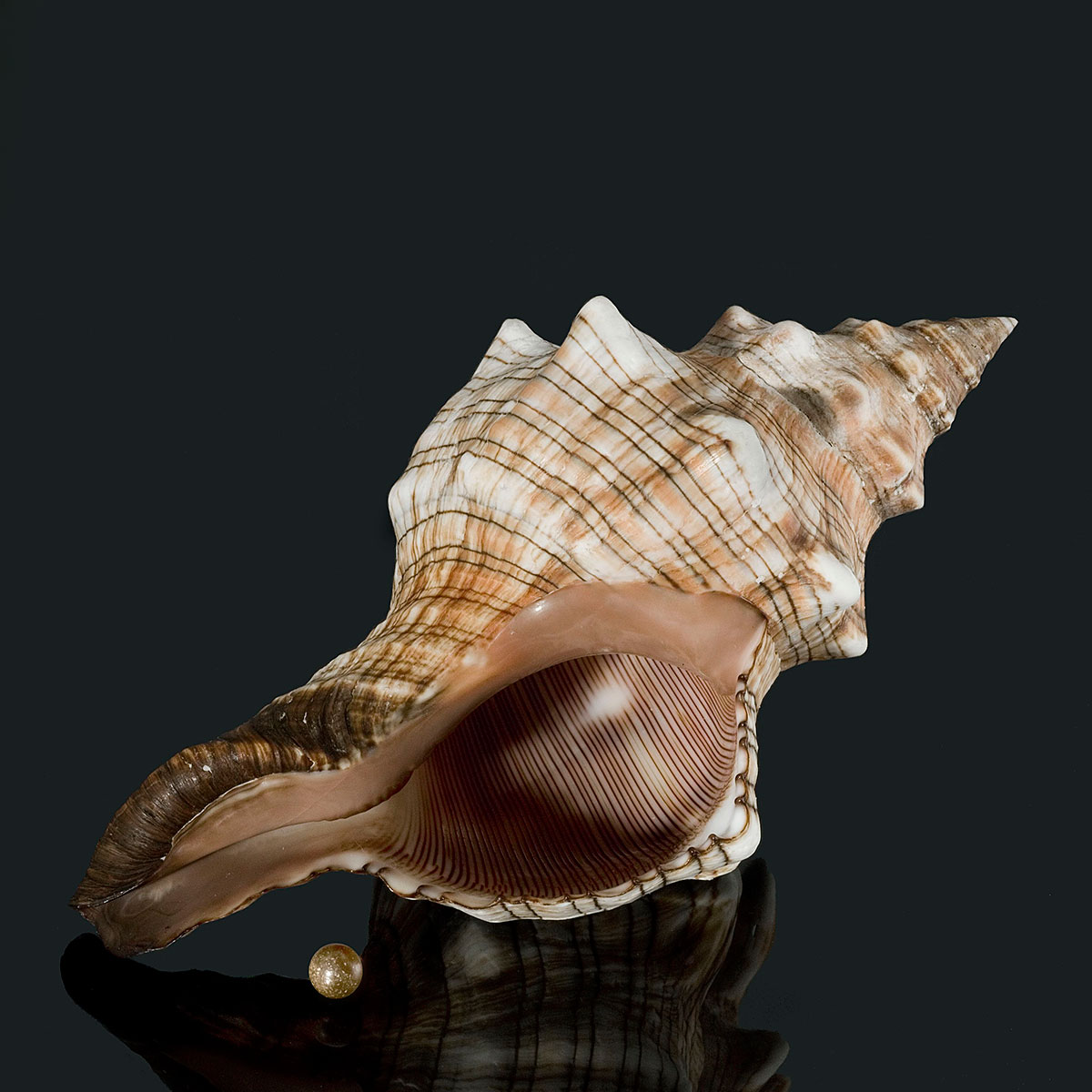 慈禧太后最漂亮的珍珠凤冠图片,万历皇帝的金丝皇冠被卖外国了吗