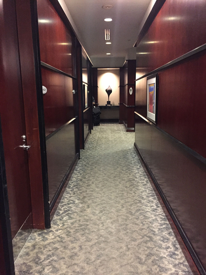 美联航头等舱：欧若拉女神眷顾之旅