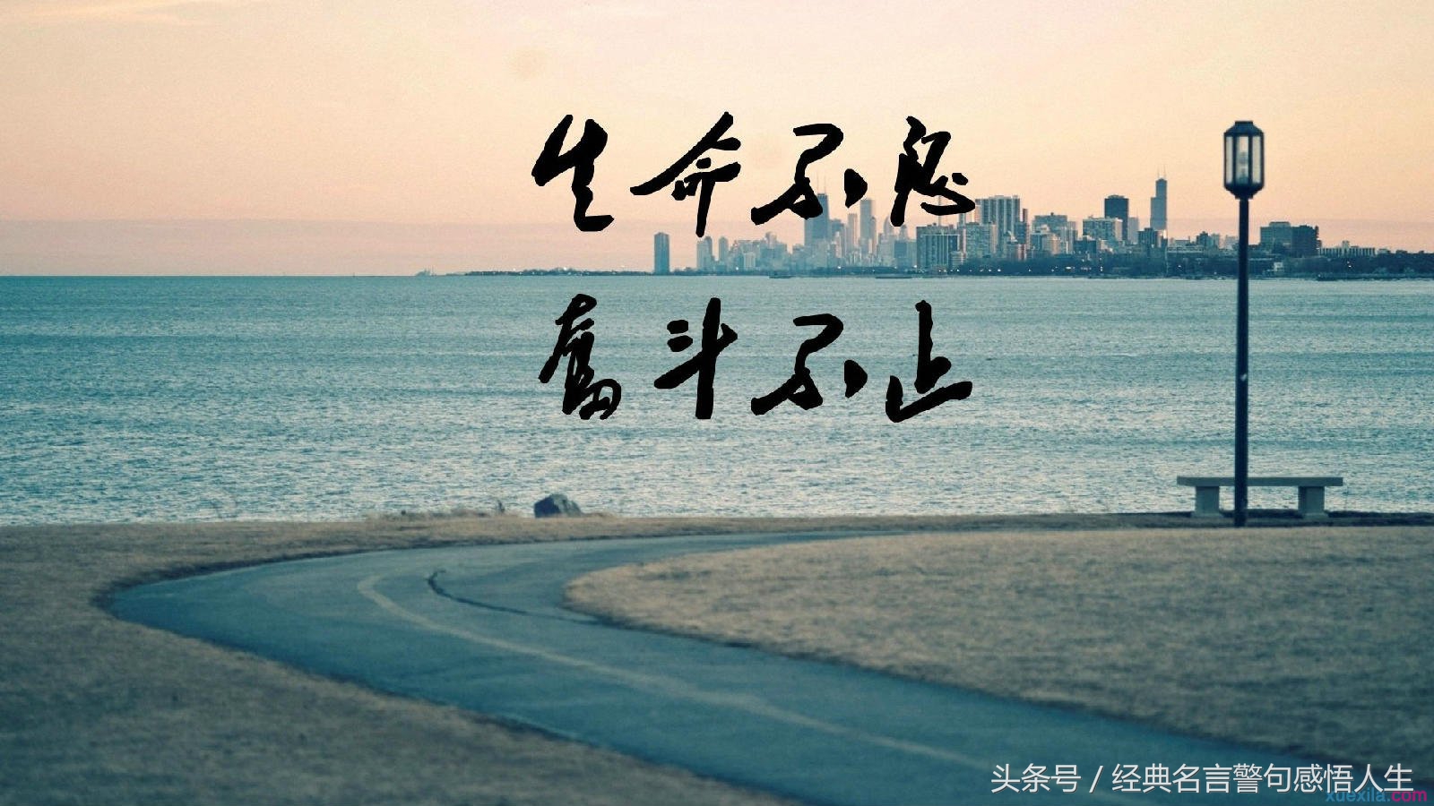 激励孩子一生的60个励志故事,让你瞬间醒悟的8个小故事