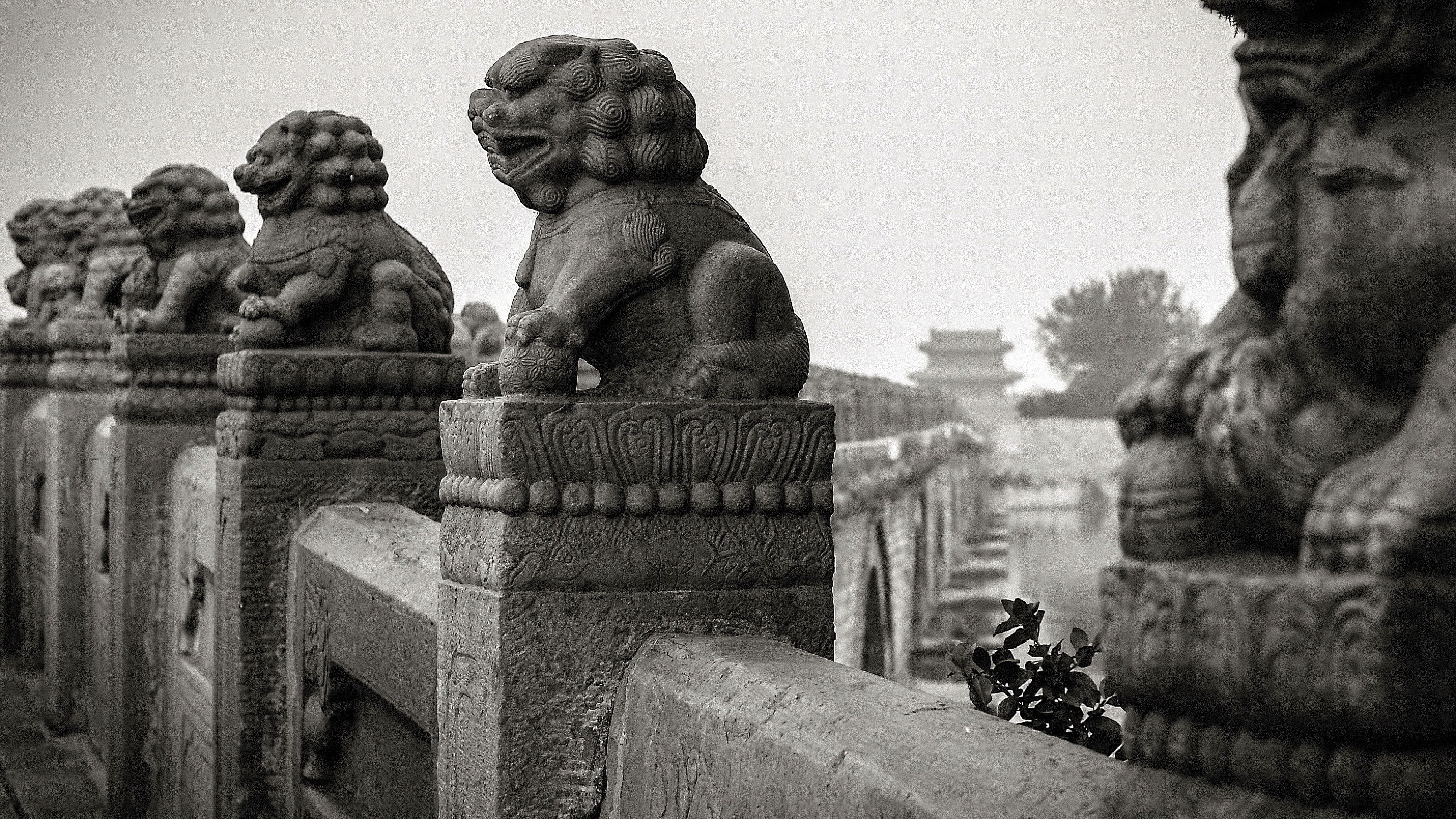 鏂囧寲鑲茶鎻愬崌宸ヤ綔璐ㄦ晥,鏂囧寲鑲茶鎬荤粨