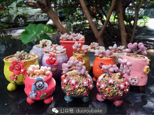 谈谈我的看法和感想,谈谈我对自己的看法