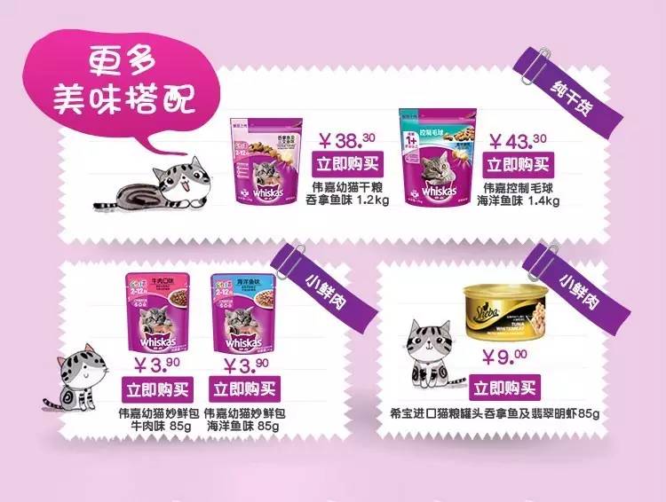 猫粮大盘点,幼猫猫粮适合多大的猫咪吃