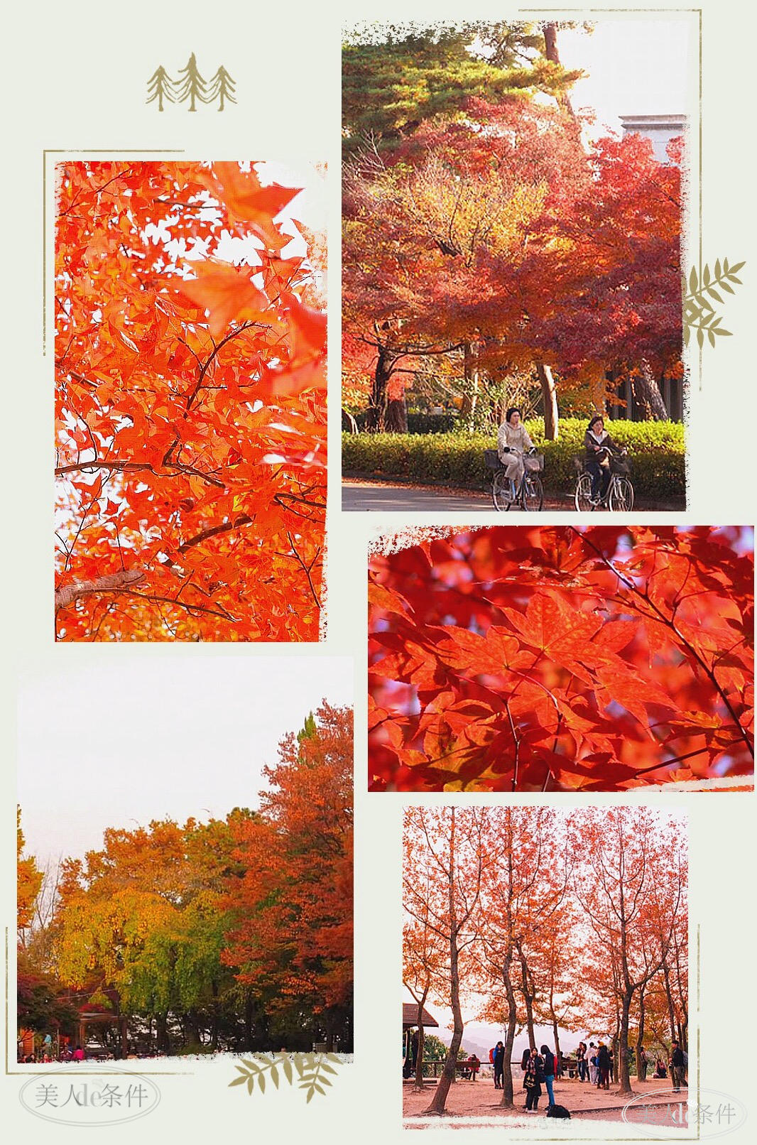 美酱周报|虽说秋意浓,更要秋意暖!