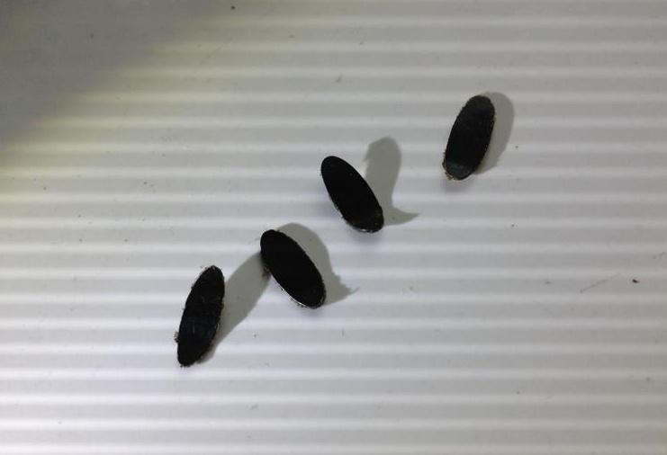 鼠标修理教程,鼠标维修图文教程