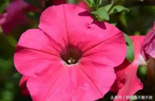 打工幽默顺口溜句子,卖货搞笑顺口溜经典句子