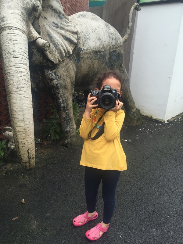 两大两小的厦门四日游