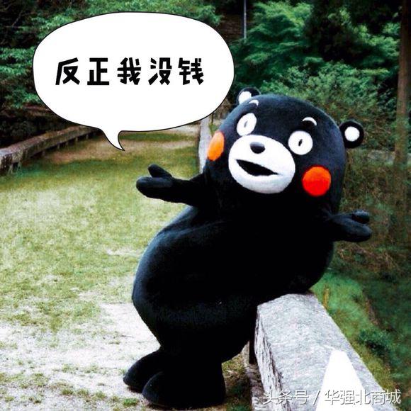 appleid被盗怎么追回,苹果id被盗后怎么保护