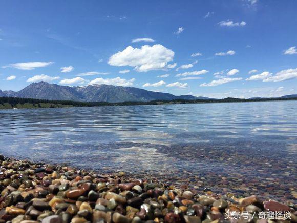 在美国旅游视频教学,美国自由行自驾游