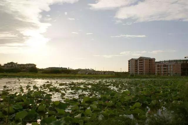 号称最难进的大学,武汉升学的贵族学校