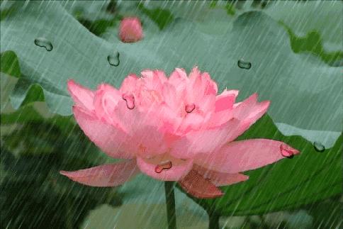 一条街一处景尽显烟火气,一条街古色古香