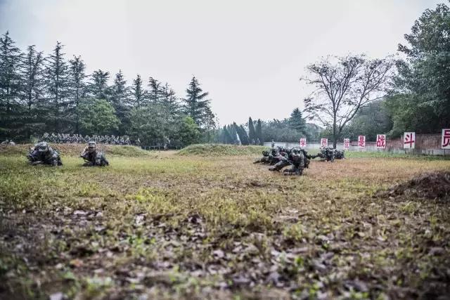 军校“老司机”，带你一同预热南政生活