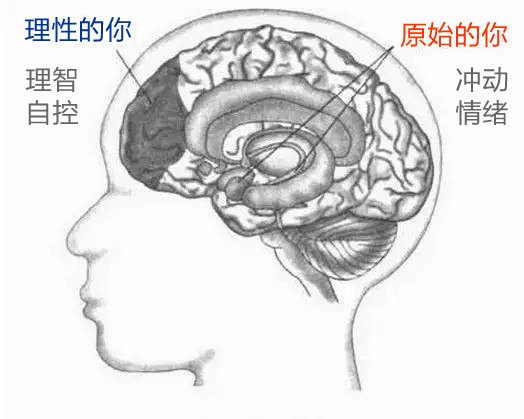 如何快速减肥减掉100斤,瘦身秘诀最简单的8个瘦身绝招