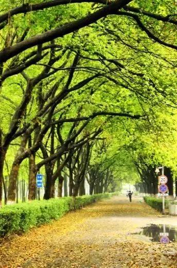 这个地方30年前真的很繁华,宁大回忆