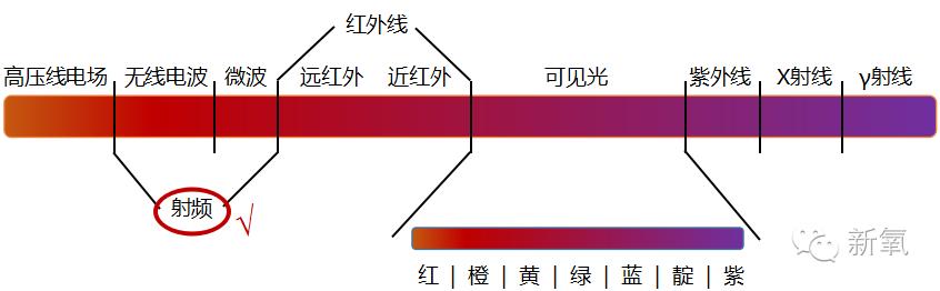 讲大道理女明星,讲人话科普