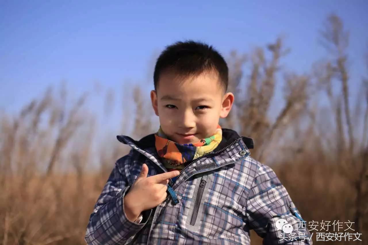 唐苑秋日落英缤纷一张旧照饱含亲情,听娃讲作文