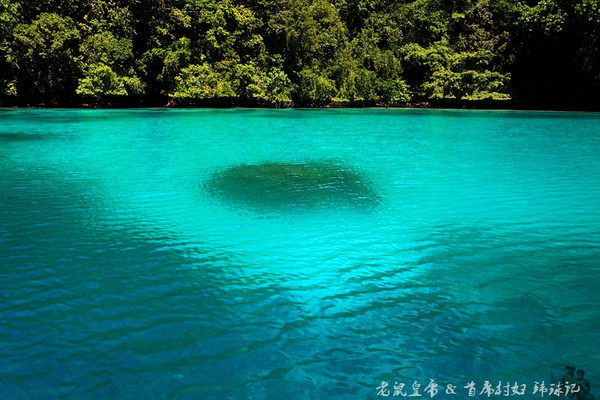 彩虹王国美术作品,彩虹王国紫色