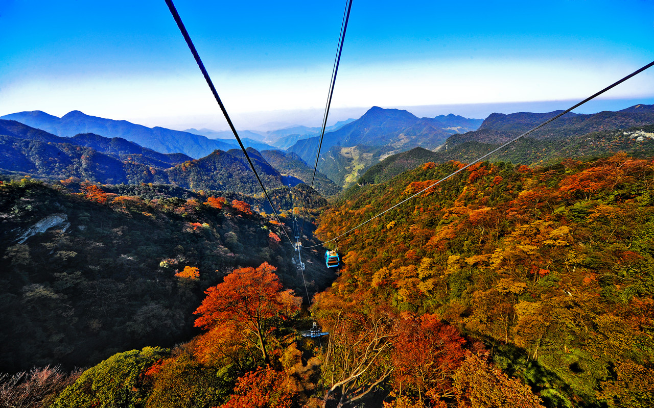 金佛山一日游从哪个门进好点,金佛山旅游攻略二天一夜