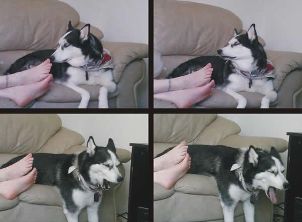 女朋友坐前排也晕车,女朋友坐晕车了