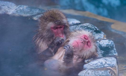 天冷了现在正是泡温泉的最佳时刻,天气逐渐变冷来泡澡