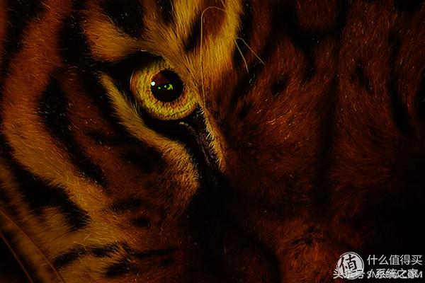 4khdr和4kuhd有什么区别,4khdr和4k杜比视界哪个效果好