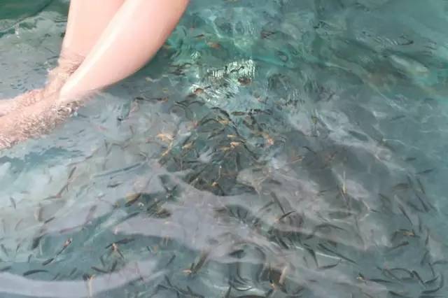 拥有这样的男朋友是一种什么感觉,和潜水员谈恋爱感受