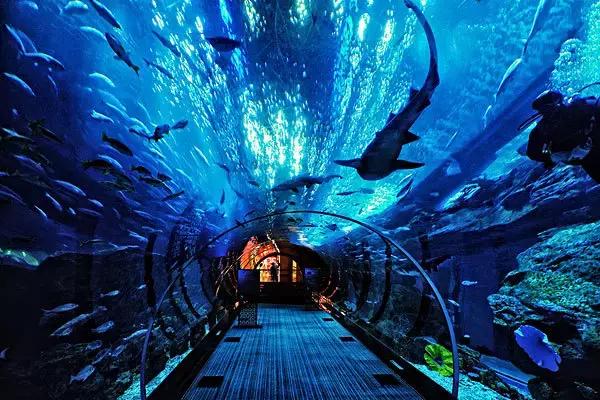 全球大型购物连锁中心,全球三大购物中心