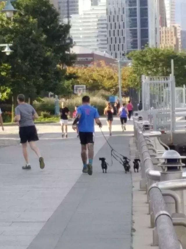 米国的历史事件,米国犯罪故事结局