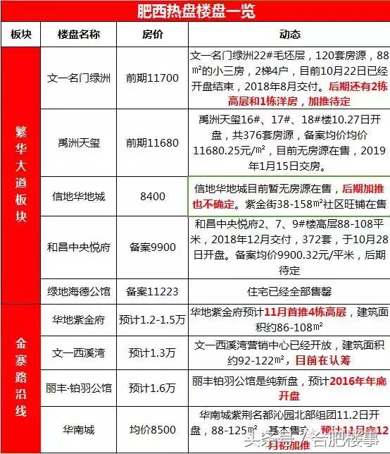 肥西政务区,肥西政务区的发展